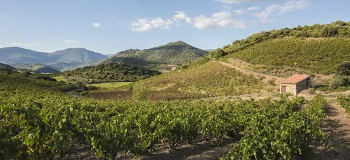Météo : des températures qui inquiètent les agriculteurs