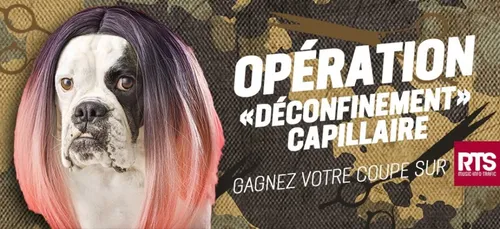 Déconfinement capillaire : Coupe ratée,  cheveux trop longs... RTS...