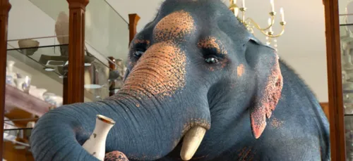 Les étudiants montpelliérains de l'ESMA distraient les new-yorkais