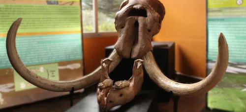 Retour à l’âge de Pierre pour le musée de Tautavel