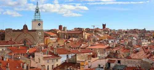 Les Municipales avec RTS : Perpignan