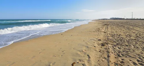 Insolite : des baigneurs mordus en mer