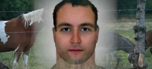 Mutilation de chevaux : l'ex Languedoc-Roussillon épargnée