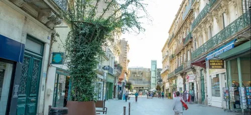 Sète : le centre-ville se met au vert