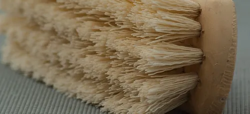 Ménage écologique : et si on passait aux ingrédients naturels ?