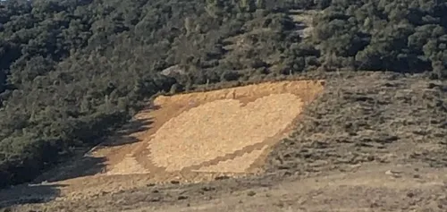 Hérault : une parcelle en "cœur" au domaine de Sauzet