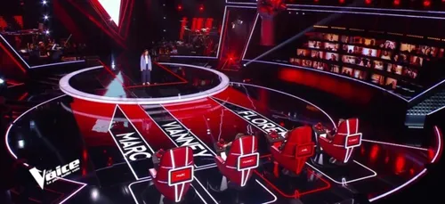 Les talents du sud sont dans The Voice !!!