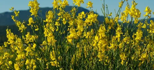 Montpellier, Narbonne, Avignon : 3 idées balade dans la zone des 10...