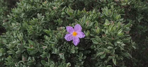 Nîmes, Perpignan, Béziers : 3 idées balade dans la zone des 10...