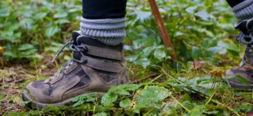 Nouvelle rando contée dans le secteur des Woiries
