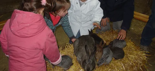 Plein d'animations à la ferme pédagogique de Liart pour les vacances