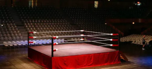 Sangs'liés : Boris Ravignon sur le ring.