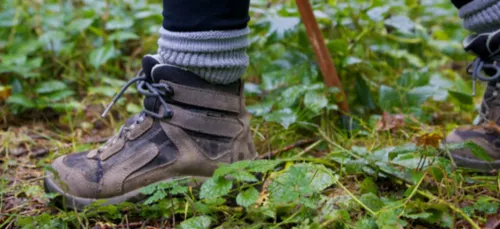 Une marche pour la bonne cause aujourd'hui à Vendresse
