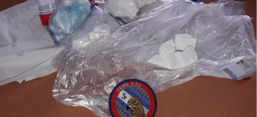 519 grammes de cocaïne saisie par les douaniers de Reims.