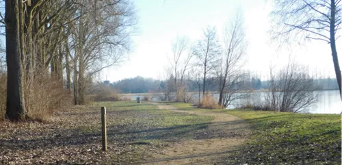 La Trans'Sedanaise : une nouvelle course dans les Ardennes