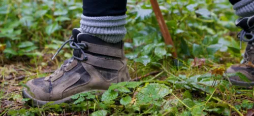 Une randonnée avec bivouac en pleine forêt ardennaise