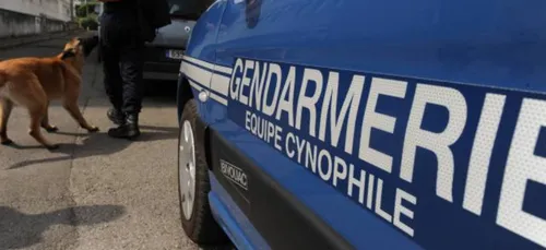Un chien de l'équipe cynophile de la gendarmerie de Reims décoré !