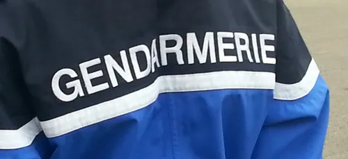 Grosse saisie de drogue chez un Revinois