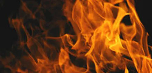 Charleville : un feu de détritus se propage à un peuplier