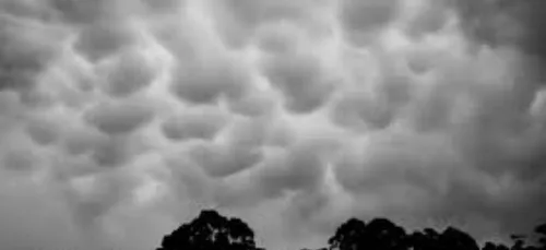 Vigilance météo orange pour les Ardennes.