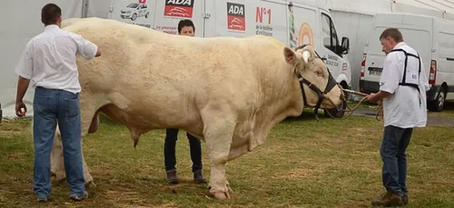 Sécurité renforcée pour la Foire de Sedan