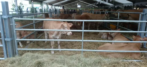 C'est parti pour la Foire Agricole de Sedan.
