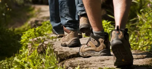 Une balade gourmande ce dimanche à Bulson