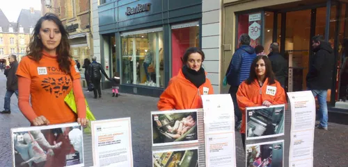 Une nouvelle action de L214 à Charleville-Mézières