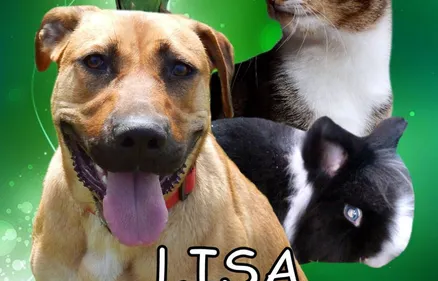 Attention à la vente de faux calendriers dans les Ardennes.