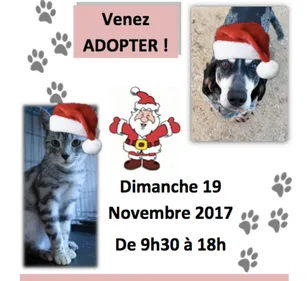 Noël des animaux pour la Lisa dans les Ardennes.
