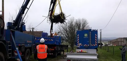Nids de cigogne déplacés à Mairy