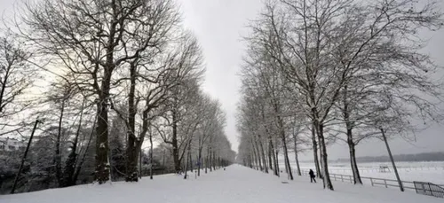 Grand Froid : les Ardennes en niveau orange.