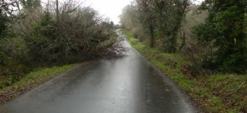 Les Ardennes sont en vigilance orange "vents violents"