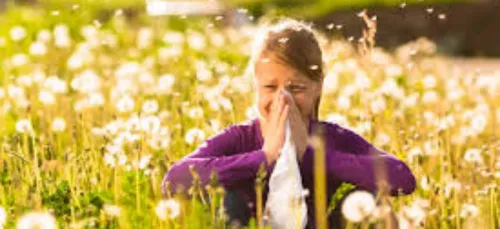 Alerte rouge aux pollens dans les Ardennes
