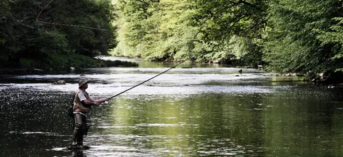 Pêcheurs Ardennais : attention aux fils électriques.