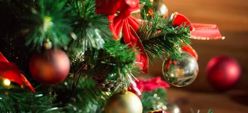 Noël ardennais des privés d'emploi : les inscriptions démarrent ce...