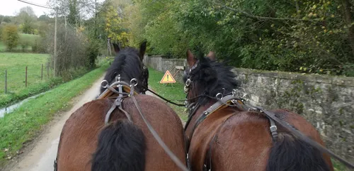 Des promenades en calèche pour tous.