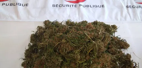 Charleville : il cultivait du cannabis chez lui.
