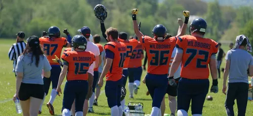 Football américain : une belle première saison pour les Wildboars...