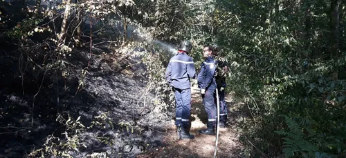 Bogny-sur-Meuse : reprise de feu dans la forêt
