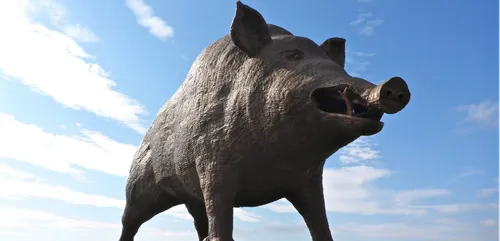 Woinic fête ses 10 ans aujourd'hui !