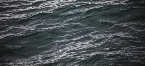 12 migrants secourus en mer accueillis dans le Grand-Est