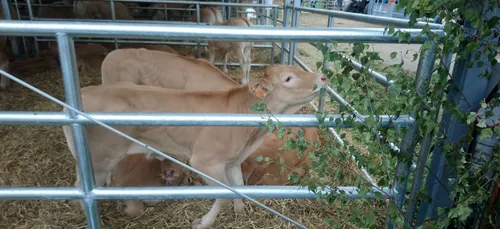 J-1 pour la 83ème Foire de Sedan