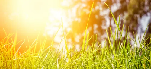 Un premier bilan plutôt bon pour la saison estivale dans les Ardennes