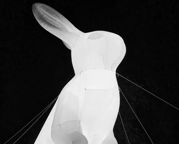 Charleville : des lapins géants vont envahir la Place Ducale