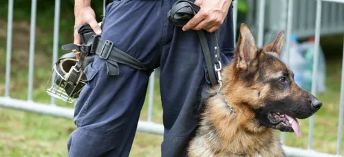 Sedan : opération anti-stup au lycée Jean-Baptiste Clément