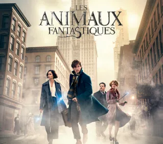 Une soirée "Animaux Fantastiques" au Métropolis de Charleville