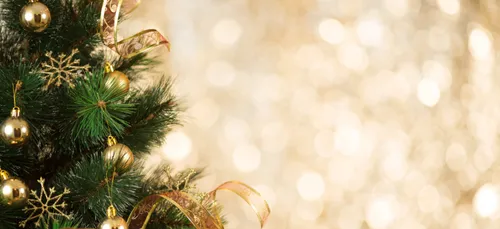 METTRE LES DÉCORATIONS DE NOËL EN AVANCE RENDRAIT HEUREUX !