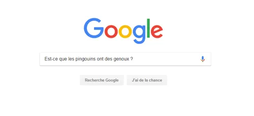 LES RECHERCHES GOOGLE LES PLUS INSOLITES DE 2018 !