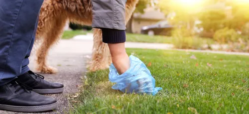 La Ville de Sedan lance une campagne de sensibilisation pour lutter...